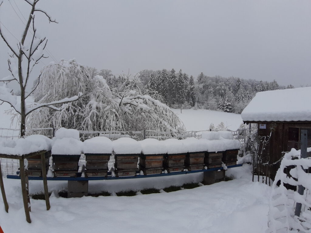 Bienenstöcke im Winter